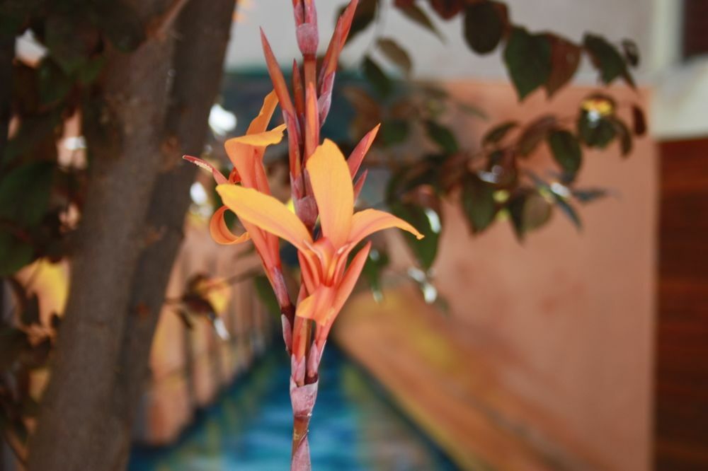 B&B "Domus Atilia" Sagunto Ngoại thất bức ảnh